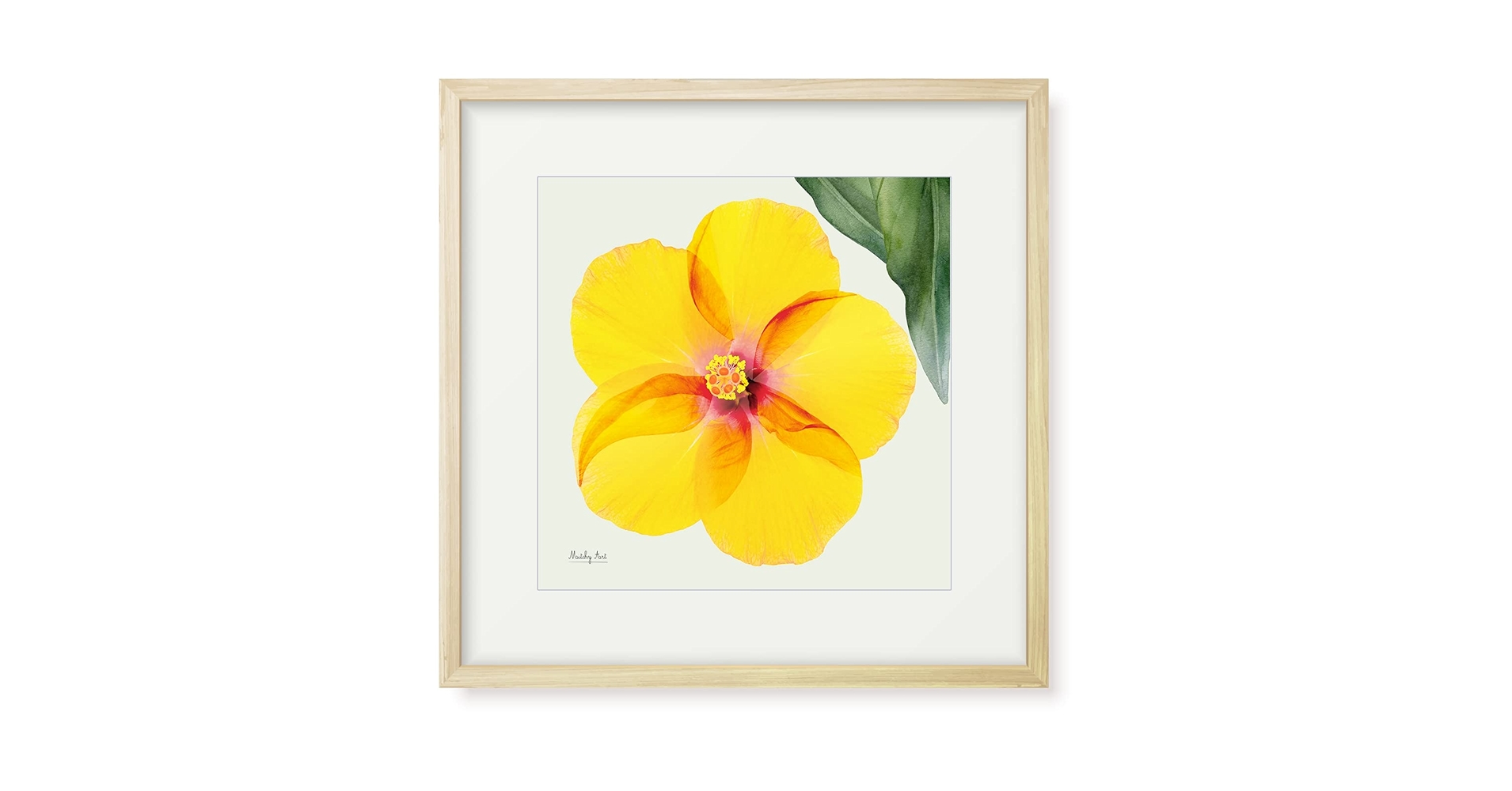 Amazon.co.jp: 絵画「真上からのハイビスカス」インテリア 絵 花